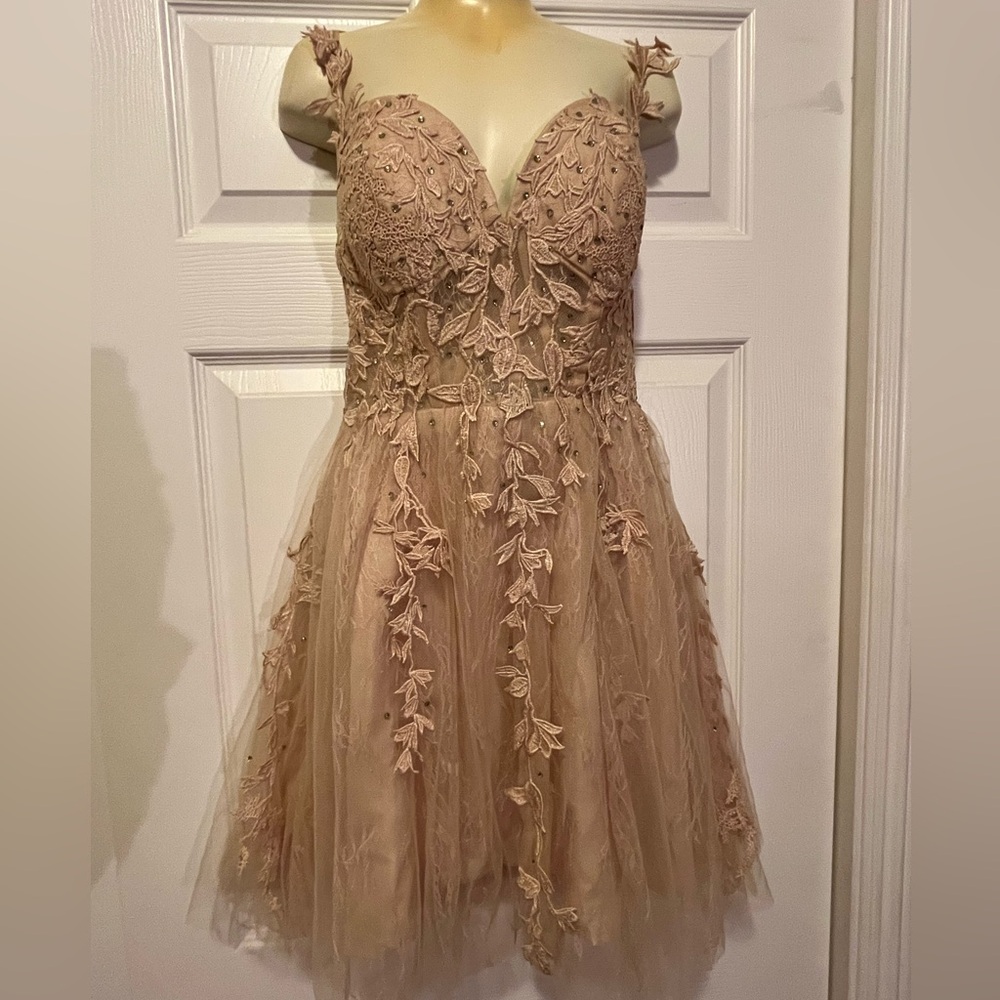 Elegant Lace Embellished Dress